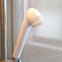 shower shower